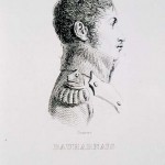 Bauharnais (sic)