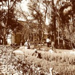 Ismailia. House of a canal pilot.