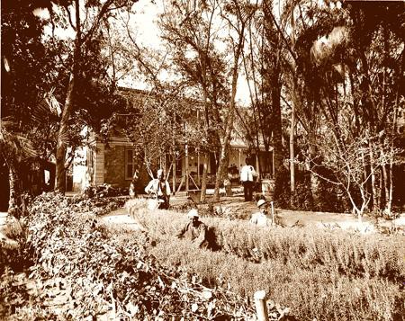 Ismailia. House of a canal pilot.