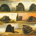 The eight ages of Napoleon