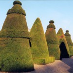 Yews marking the site of the Château de Saint-Cloud: the Galerie d’Apollon