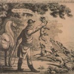 Death of the Corsican fox