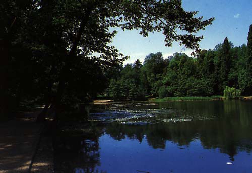Forêt domaniale de Malmaison