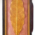 Snuff box containing a golden leaf from the coronation crown