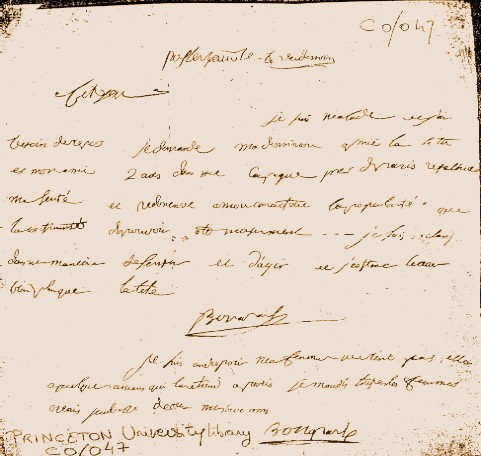 Autograph Bonaparte letters at the Universities of Princeton (USA) and Vilnius (Lithuania). A tale of Napoleonic forgeries?