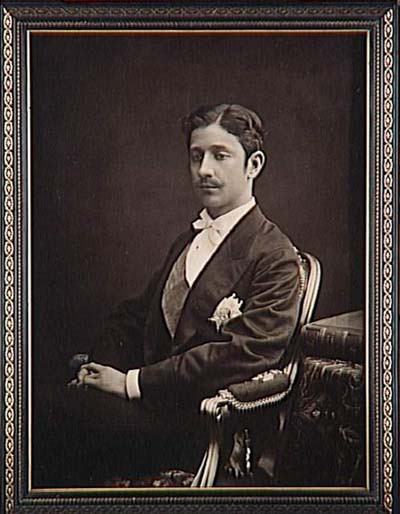 Portrait of the Prince Imperial on his coming of age