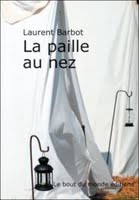 La paille au nez (roman jeunesse)