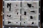 Fragments de papyrus du rouleau PHerc. Paris 1 (c) D. Delattre