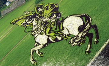 Napoleon Bonaparte: Japanese rice art