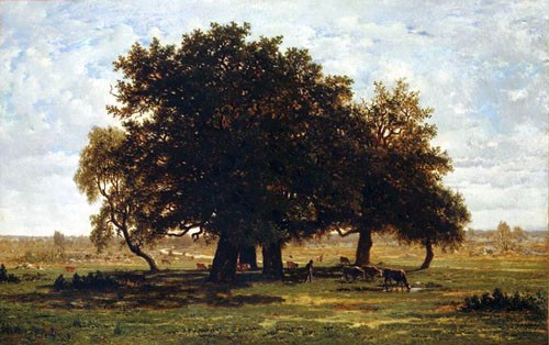Groupe de chênes, Apremont, Forêt de Fontainebleau
