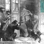 Les éléphants de Napoléon III
