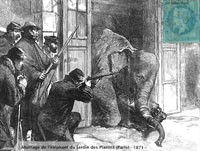 Les éléphants de Napoléon III