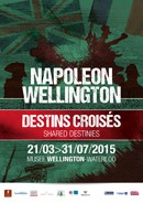 Napoléon, Wellington : destins croisés
