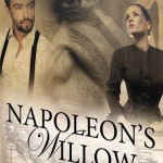 Napoleon’s Willow (a novel)