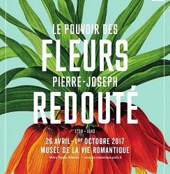 Pierre Joseph Redouté : le pouvoir des fleurs