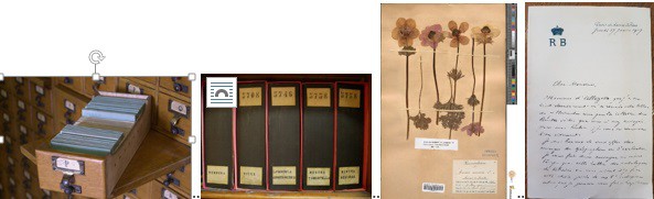 Figure 12 : Tiroir du catalogue de l’herbier de Roland Bonaparte : les 144000 fiches classées par ordre alphabétique de nom de genre indiquent le numéro des classeurs d’herbier. Figure 13 : Classeurs de l’herbier Bonaparte et leur rangement vertical caractéristique, comme les livres d’une bibliothèque. Figure 14 : Planche d’herbier de 1904 issue des cultures du jardin de Saint-Cloud. Figure 15 : Lettre de Roland Bonaparte du 17 janvier 1907 issue de sa correspondance Botanique et proposant des ouvrages en échange de planches d’herbier.