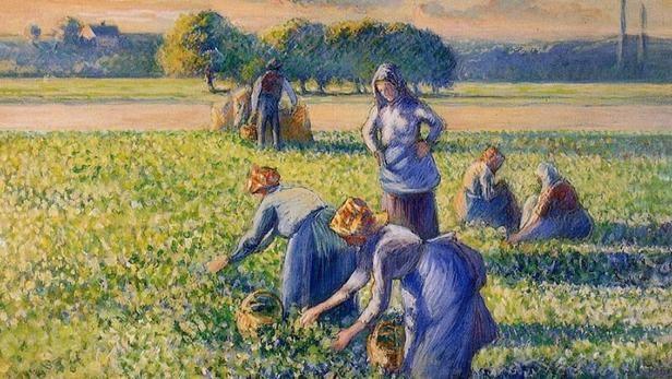 La cueillette des pois de Camille Pissaro, 1887 © Wikipedia