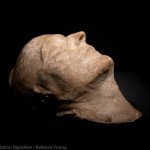 Death Mask known as the “Bertrand Mask”