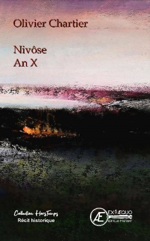 Nivôse An X (roman)
