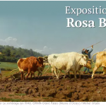 Rosa Bonheur (1822-1899)