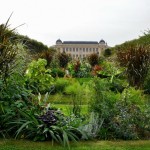 Le Jardin des Plantes