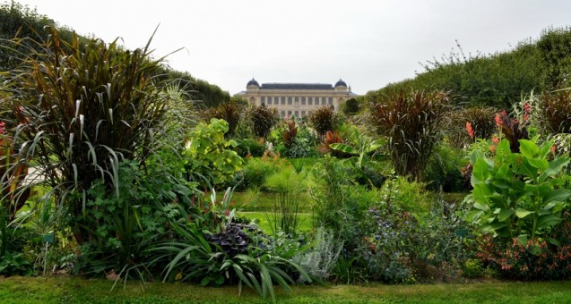 Le Jardin des Plantes