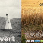 <i>Le liseré vert</i> (documentaire)