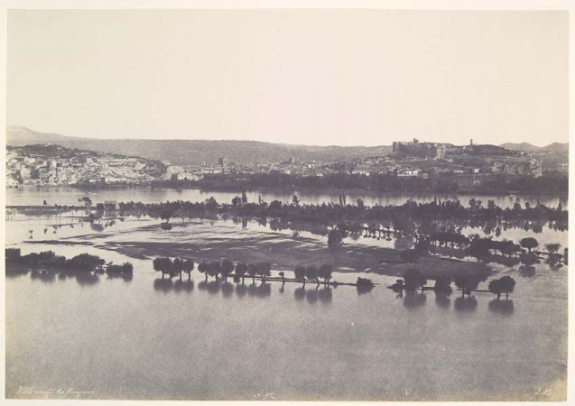 Inondations 1856, Avignon