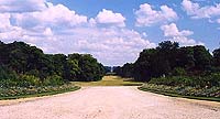 Parc de Compiègne - La trouée des Beaumont © Fondation Napoléon